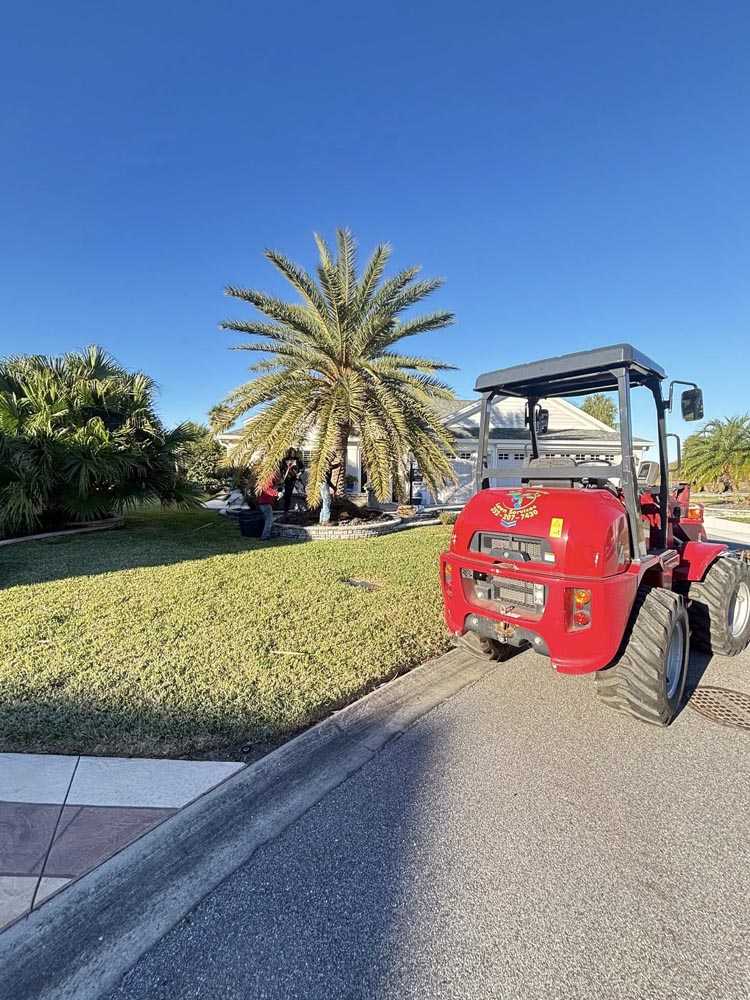 Professional lawn mowing and edging service on a residential property