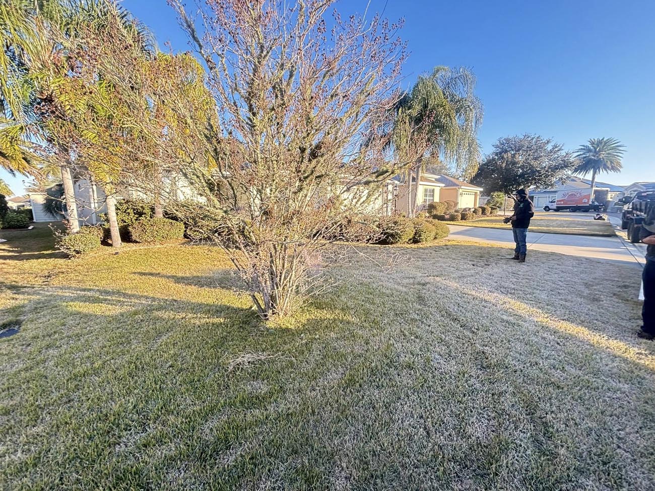 Professional landscape planting with Florida-friendly plants